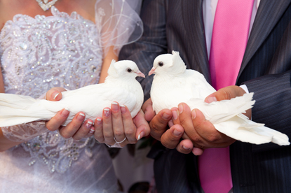 duiven op je bruiloft